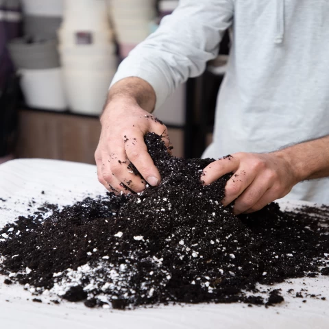 Հողախառնուրդ